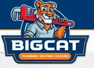Big Cat Plumbing, Heating & Cooling