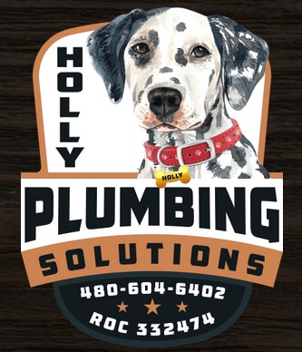 Holly Plumbing Solutions